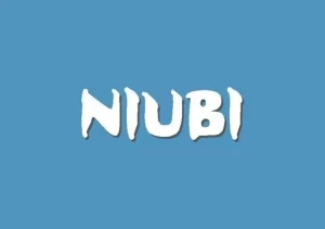 NIUBI Partition Editor 9.9.2 Crack + License Key 2024 Full Download
